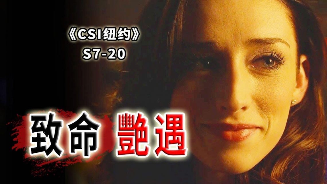 約會需謹慎！優質男神竟是連環殺手！美女慘被拋屍荒野《C.S.I-NY》