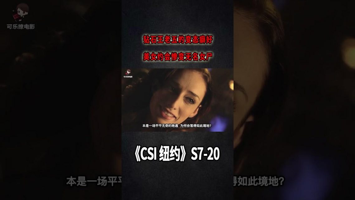 約會需謹慎！優質男神竟是連環殺手！美女慘被拋屍荒野《C.S.I-NY》