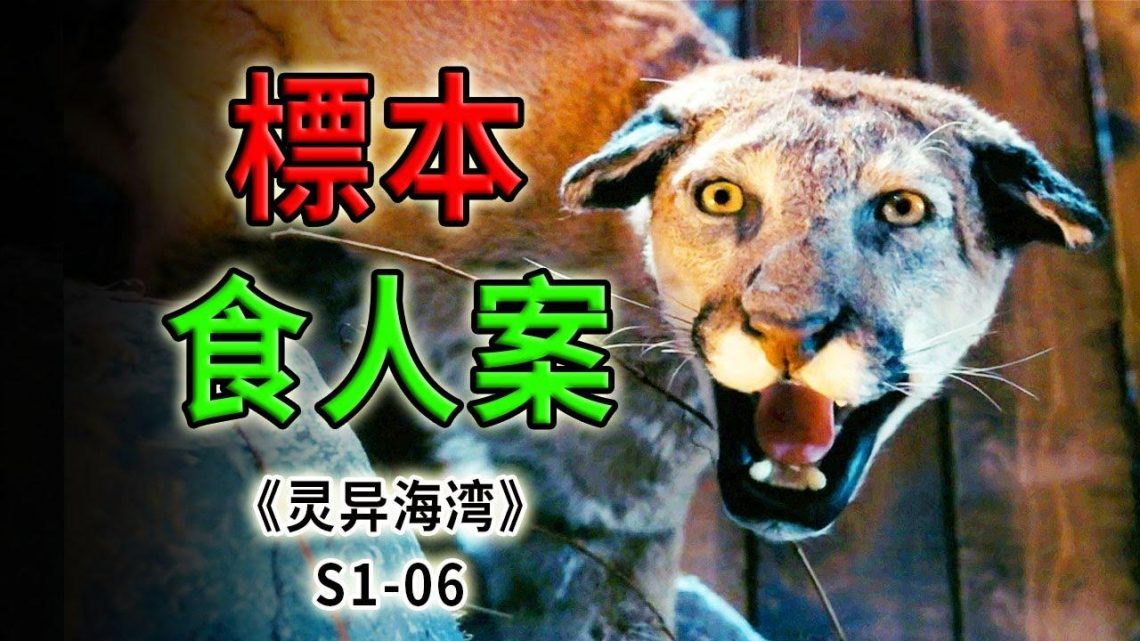 標本腹中掏出人類手指，猛獸死而復生血洗獵人小鎮《靈異海灣Haven》