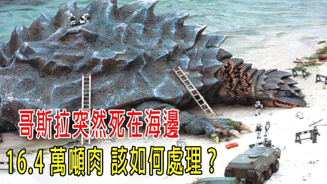 哥斯拉突然死在海邊，16.4萬噸肉該如何處理？放出臭氣，10公里内成無人區！