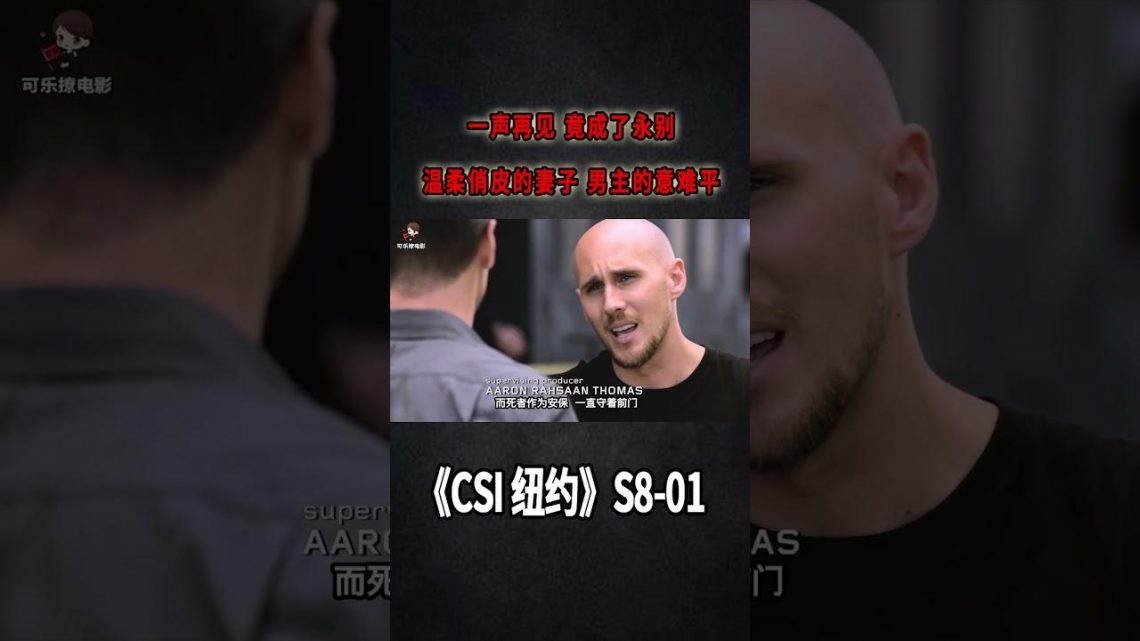 一聲再見，竟成永別！屍骨無存的妻子，男主的意難平《C.S.I-NY》