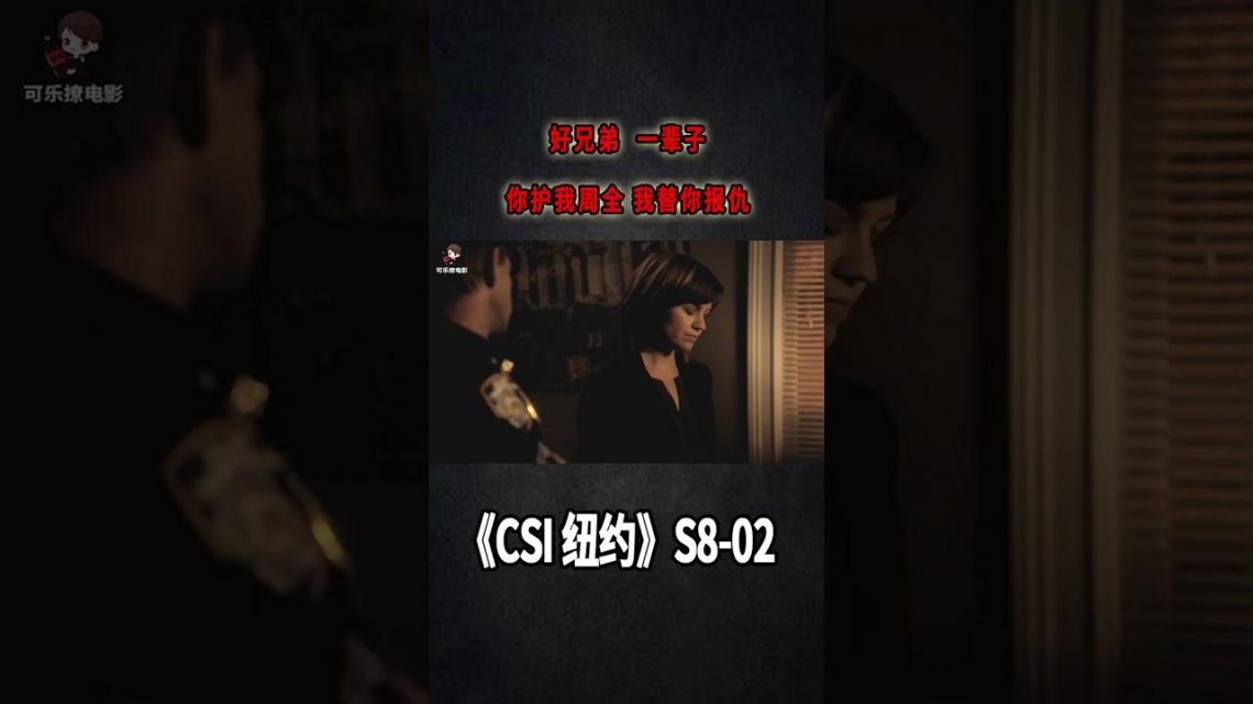 是兄弟就來害死我！好兄弟一輩子，你護我周全，我替你報仇《C.S.I-NY》