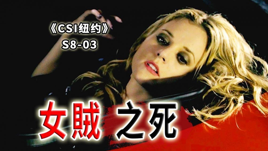 卿本佳人，奈何做賊？美艷女賊盜竊成癮，死于非命《C.S.I-NY》