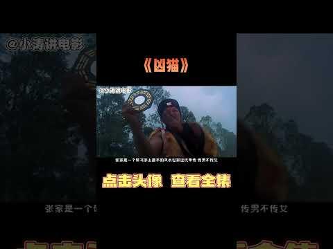 小涛解说香港恐怖电影《凶猫》#影视解说 #恐怖电影 #恐怖片