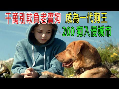 千萬別欺負老實狗，成爲一代狗王，率領200只狗入侵城市！一定要善待動物