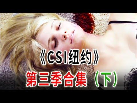 高分下飯神劇《犯罪現場調查：紐約》第三季合集（下）