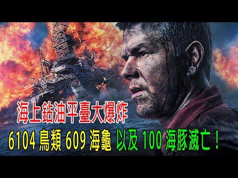 海上鉆油平臺大爆炸，大火燒了半年，6104鳥類、609個海龜以及100只海豚滅亡！真實事件