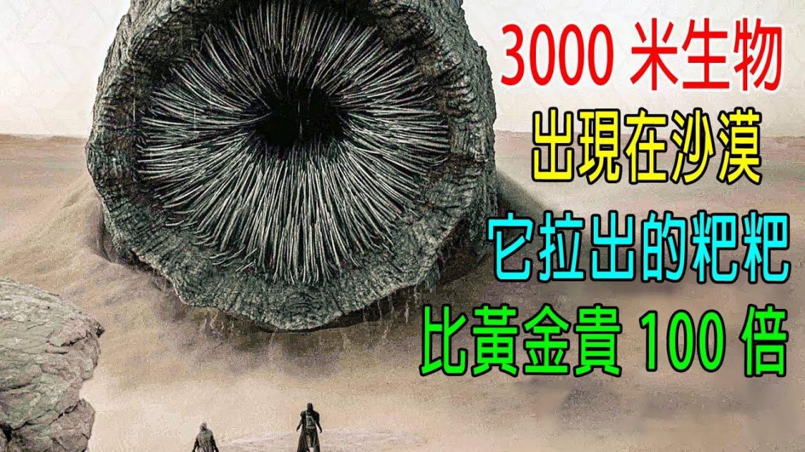 3000米生物出現在沙漠，它拉出的粑粑，比黃金貴100倍！