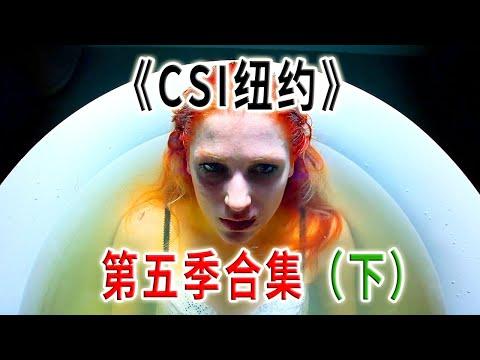 高分下飯神劇《犯罪現場調查：紐約》第五季合集（下）