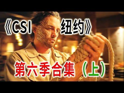 高分下飯神劇《犯罪現場調查：紐約》第六季合集（上）