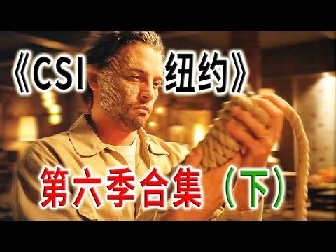 高分下飯神劇《犯罪現場調查：紐約》第六季合集（下）