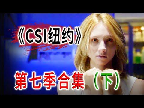 高分下飯神劇《犯罪現場調查：紐約》第七季合集（上）