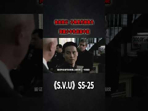 偷拍疑雲，馬桶里的攝像頭！揭露少年侵犯案中案《特殊受害者Special Victims Unit》