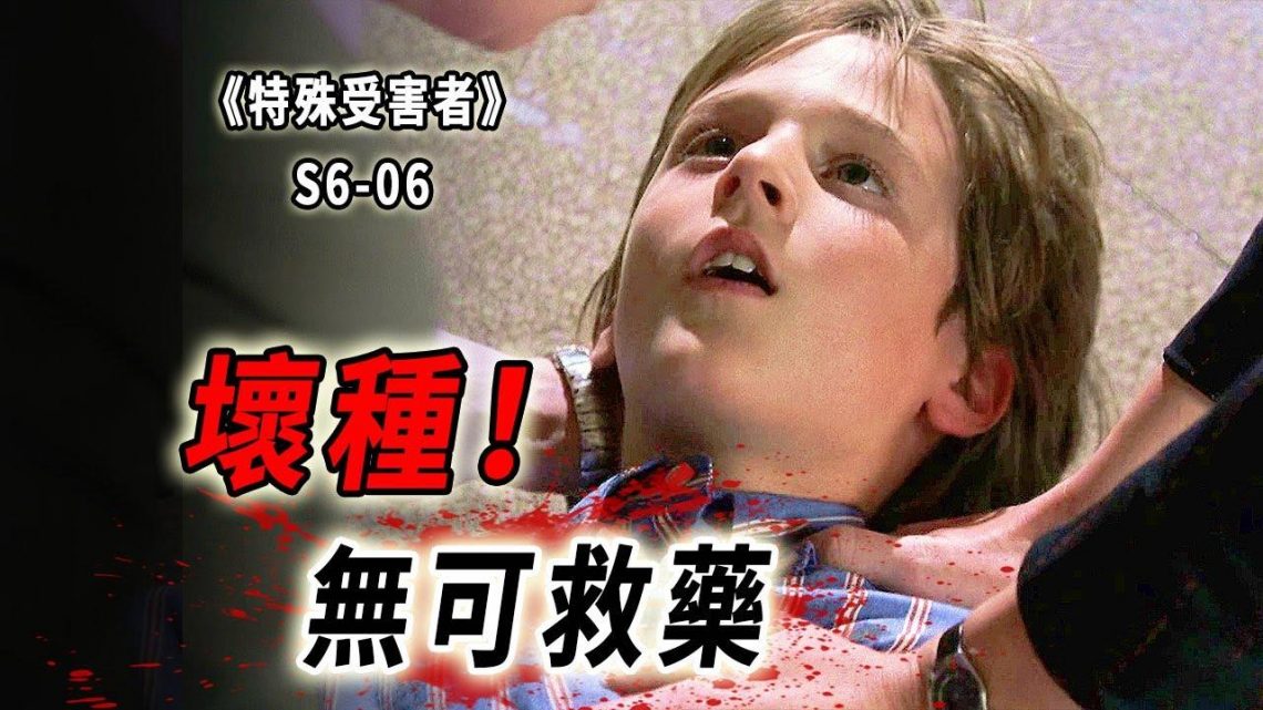 結局反轉！5歲男童之死！冷靜克制的男人，一旦爆發有多可怕《特殊受害者Special Victims Unit》